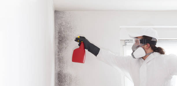 Best Mold Cleaning Services  in Lake Holiday, VA