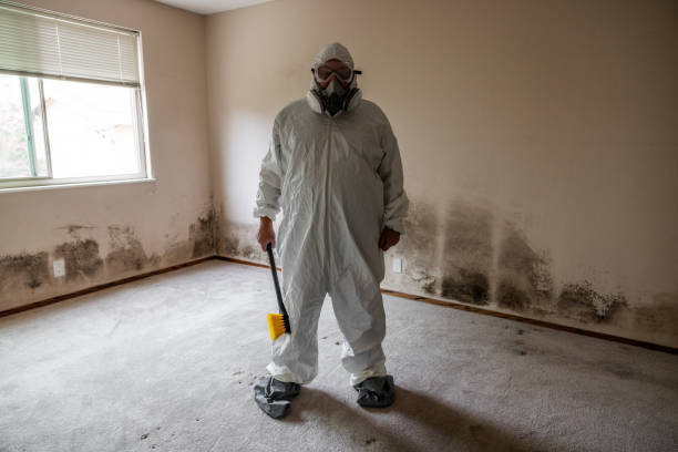 Best Residential Mold Removal  in Lake Holiday, VA