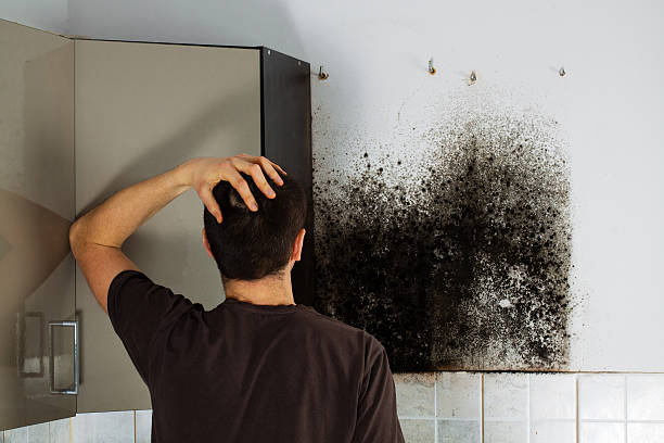 Best Crawl Space Mold Removal  in Lake Holiday, VA
